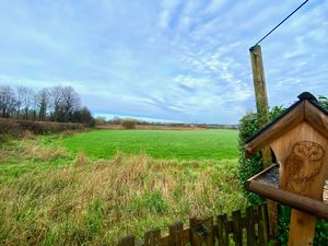 Rear Views- click for photo gallery